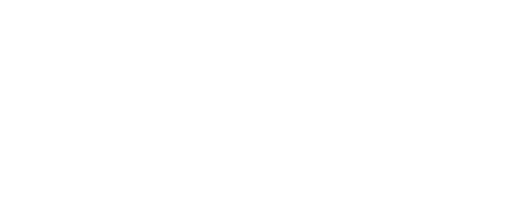 Agile Logo White